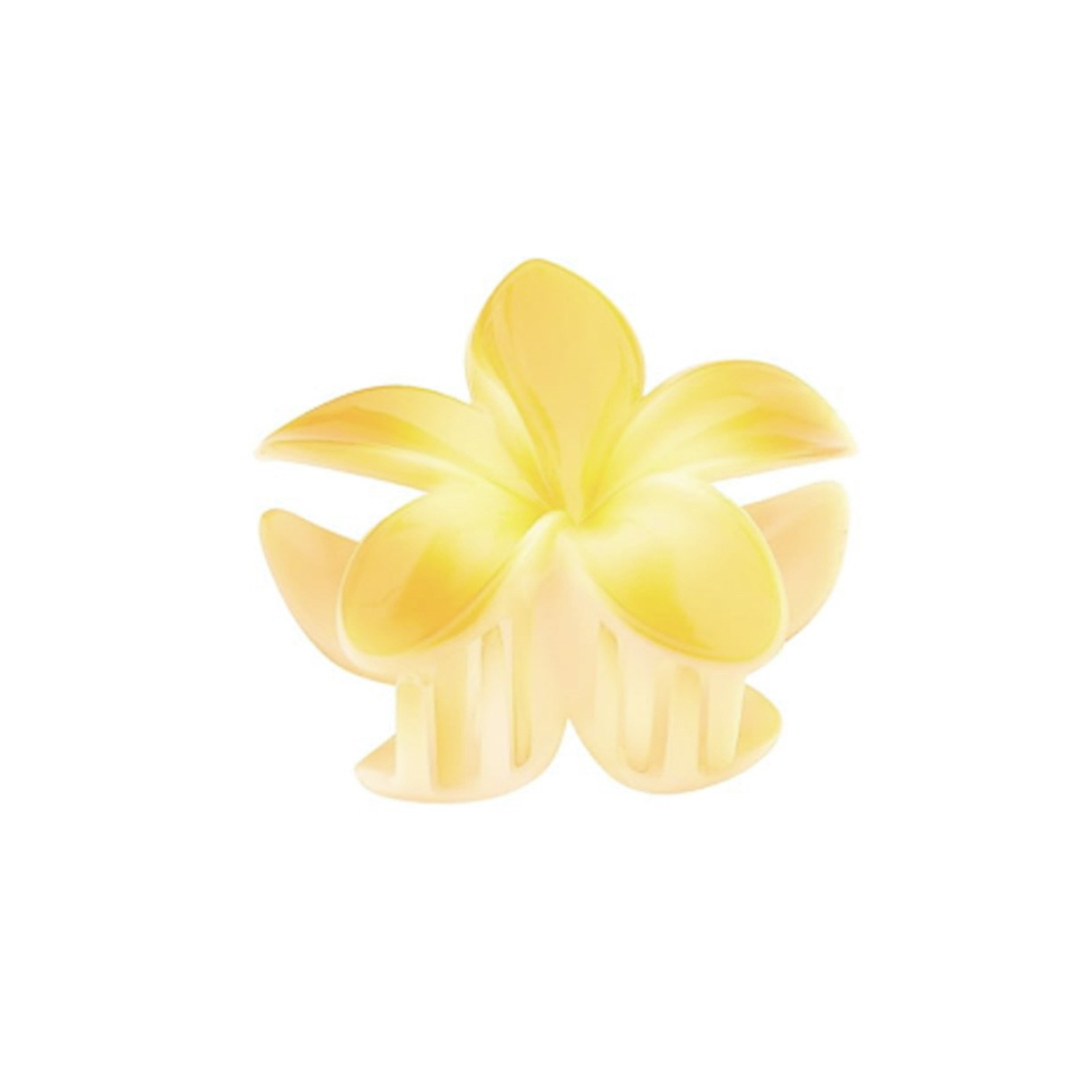 Pinza hawaiana - bia tefu