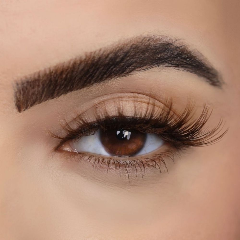 5D faux mink cafe - jlash - Image 2